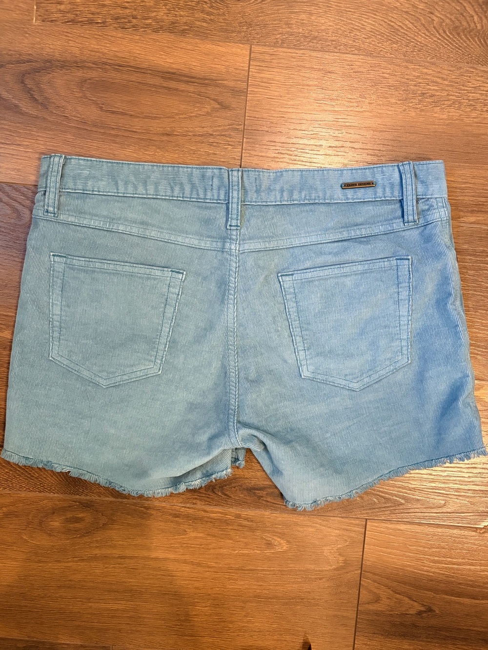 Carve Designs Oahu shorts Light Sky Blue Corduroy Raw Edge 4” size 6 Dogtown - Picture 2 of 5